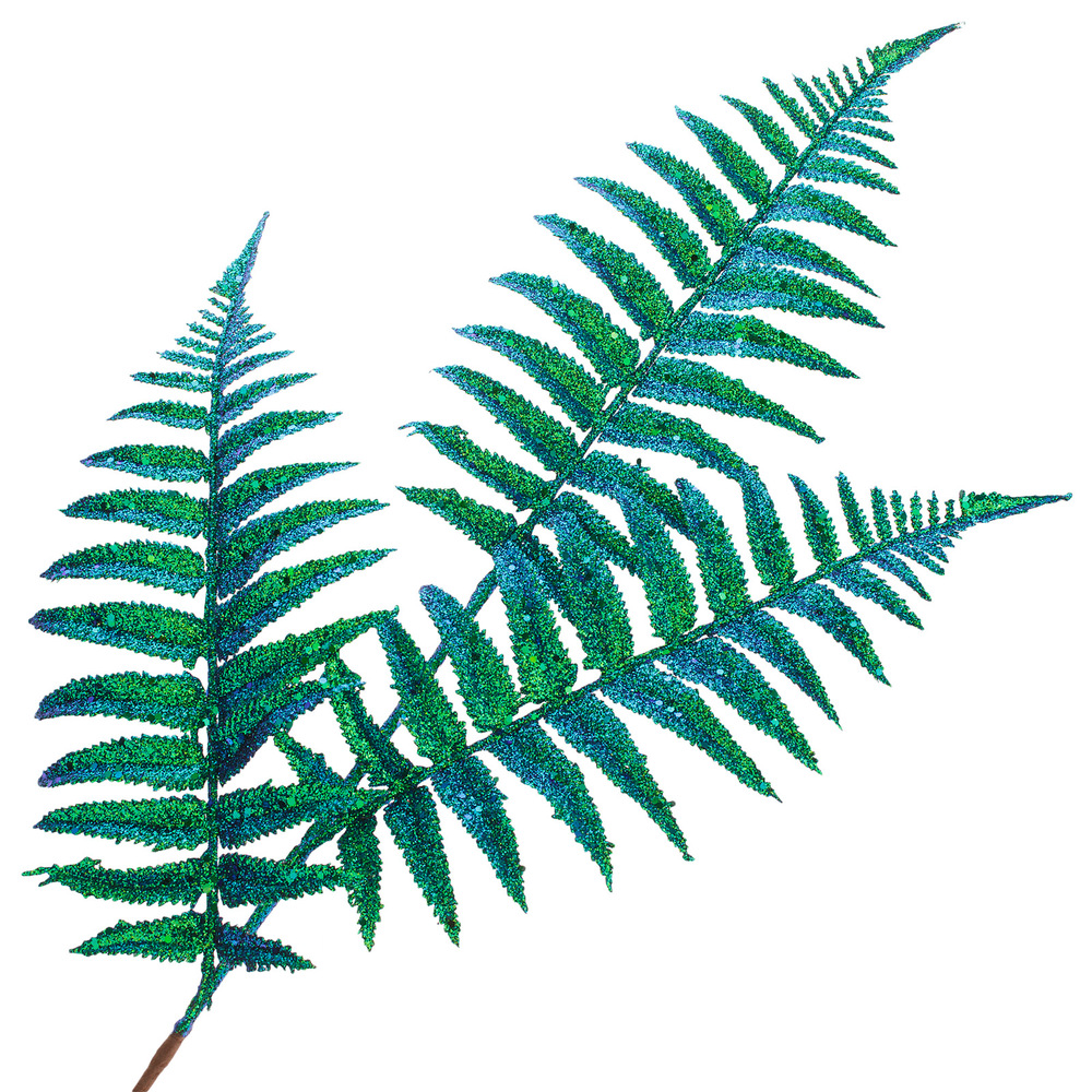 Christmas spray fern, Green